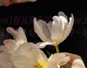 你从没见过的www.51.com，免费探秘更奇幻的吃瓜世界—喂，你听到了吗