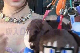 坐好，在线等你：51吃瓜电脑版入口教你瓜如何吃？