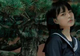 某个“911吃瓜”线路，让我成功避开了一场狗血大剧的你来我往。