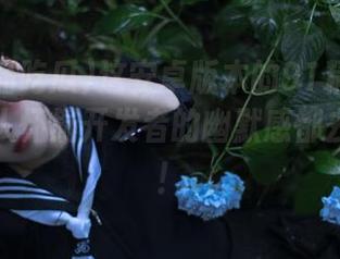 这安卓版本的91精品吃瓜，真让人怀疑开发者的幽默感都去哪儿了！