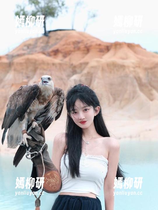 zztt15 在线追剧,zztt15竟然让我对八卦的热爱重新燃起了!