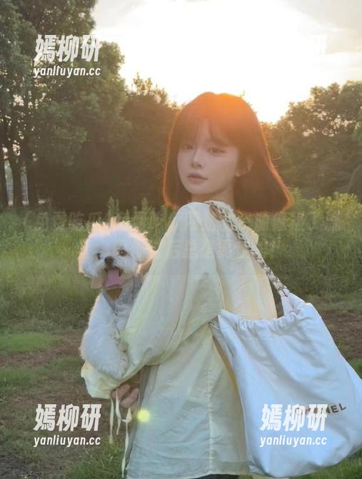 免费吃瓜网站的资源像极了流星，闪烁过后总是要走的！