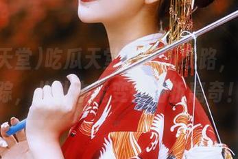 吃瓜天堂的转折线路，一路追踪，八卦也能变得曲折离奇！