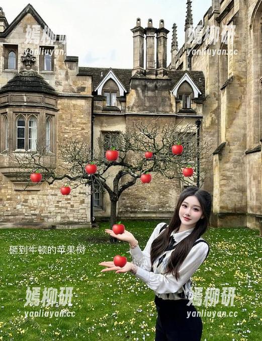 “传送门”已开启，吃瓜网搜索让你瞬间抵达你想知道的丑闻现场！
