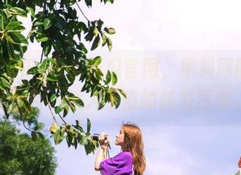 吾爱吃瓜官网，黑料网的热心百分百，娱人不倦的转发狂潮。