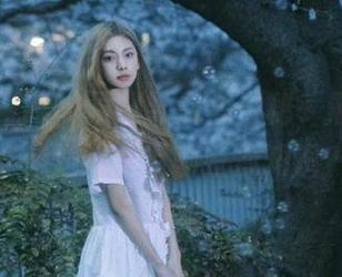 顶级导航大揭秘，黑料不打烊传送门里有哪些冷知识？