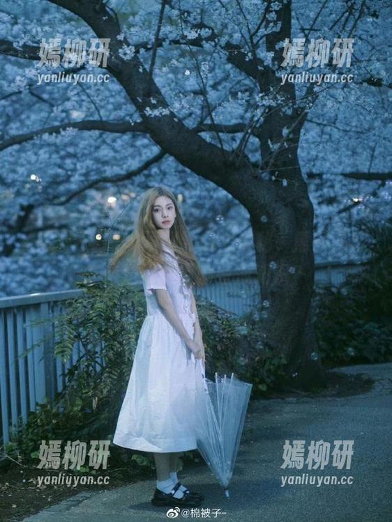 顶级导航大揭秘，黑料不打烊传送门里有哪些冷知识？