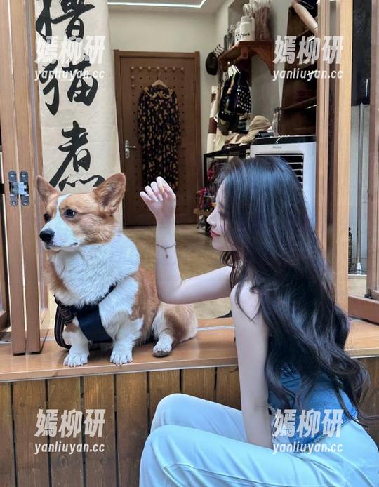 黑料传送门网站，别怕迷失，瓜田里溜达随便摘！