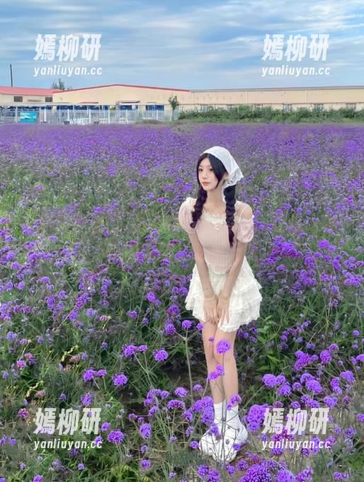 黑料传送门 黑料传送门网站:让你一路畅通无阻,吃瓜无阻