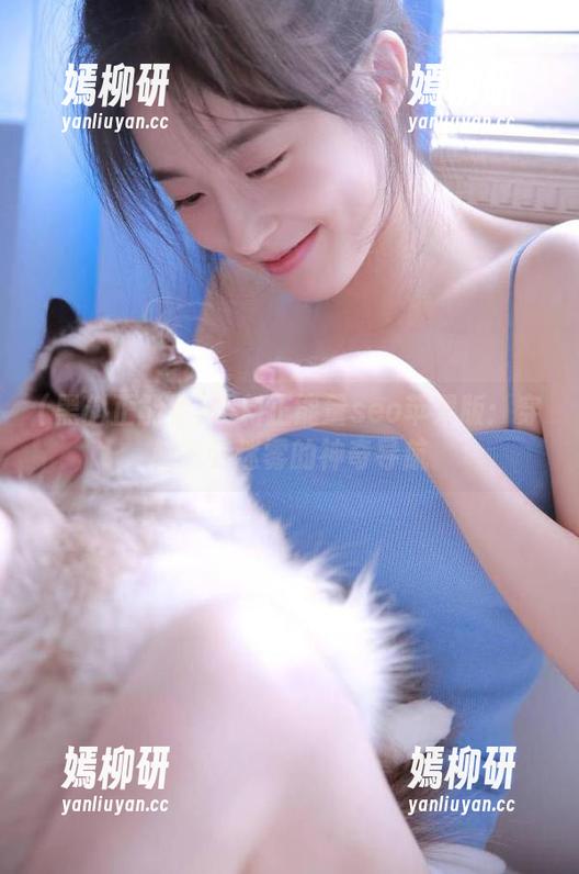 黑料正能量seo苹果版：穿越八卦迷雾的神奇导航