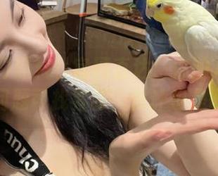 黑料社官网直达：你的八卦通行证，有问题可找客服，估计也是吃瓜的！