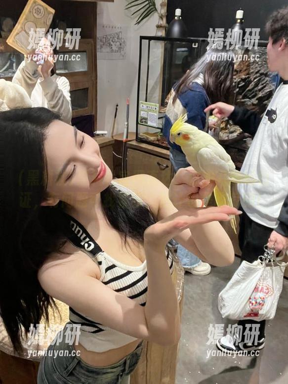 黑料社官网直达：你的八卦通行证，有问题可找客服，估计也是吃瓜的！