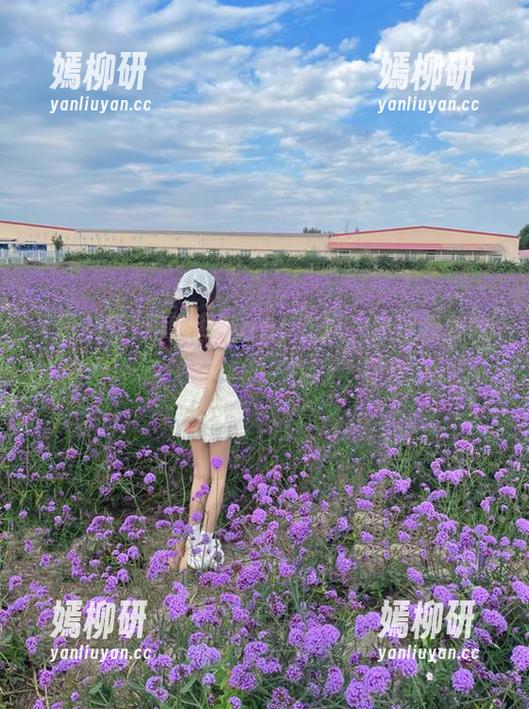 用黑料网app吃瓜，怀疑我要收藏一整年的‘财富’了